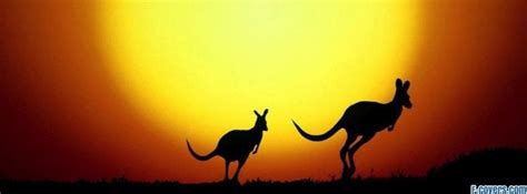 Facebook australia phone number, call now and speak with a customer service representative, to receive assistance with your concerns. the kangaroo hop australia Facebook Cover timeline photo ...