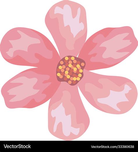 Pink Flower Drawing Design Royalty Free Vector Image