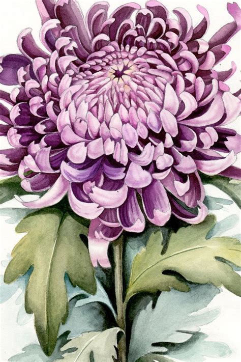 The way the colors fade seamlessly into each other can provide a sense of calm. Giclee print of the watercolor botanical illustration ...