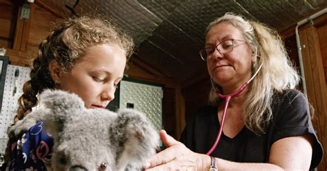 Luckily, netflix has a good selection of teen movies to check out if you ever find yourself feeling a bit nostalgic for that weird, scary, exciting time in your life. Why Kids Should Watch Izzy Bee's Koala World on Netflix ...