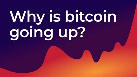 So for pros and newbies alike, or if you want to be the cryptocurrency expert at your next zoom party, it's natural to ask: Why is bitcoin going up?