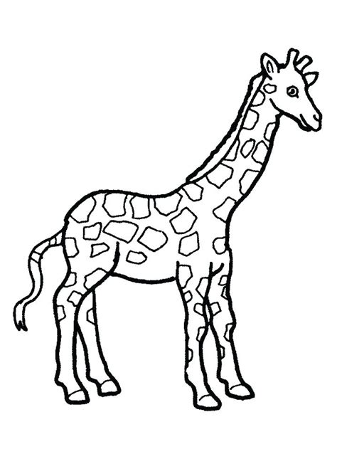 A wide range of beautiful colouring pages for toddlers, preschoolers and children of all ages. Giraffe Face Coloring Pages at GetColorings.com | Free ...