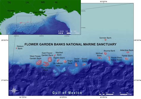 About Flower Garden Banks National Marine Sanctuary