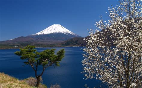 Mount Fuji Japan Sky Mount Fuji Sea Trees Hd Wallpaper Wallpaper