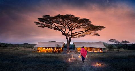 What Does The Best Typical Safari In Serengeti Look Like