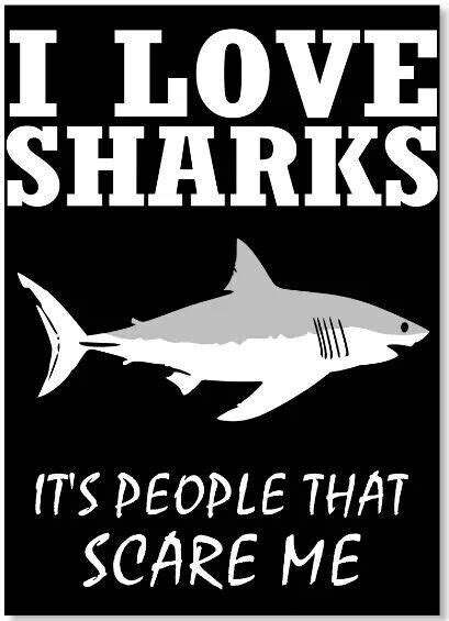 Pin By Patricia Carson On Quotes And Saying Shark Facts Sharks Funny