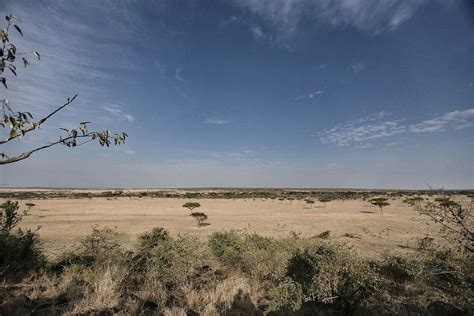 The Untamed Land Masai Mara Kenya Untamed Kenya