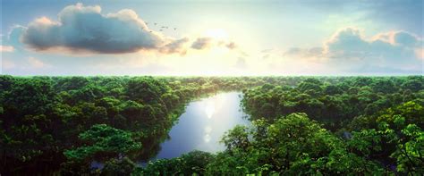 Amazing View On Amazon River Места