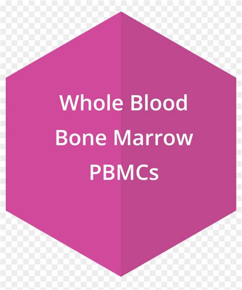 Whole Blood Bone Marrow Pbmcs Graphic Design Hd Png Download
