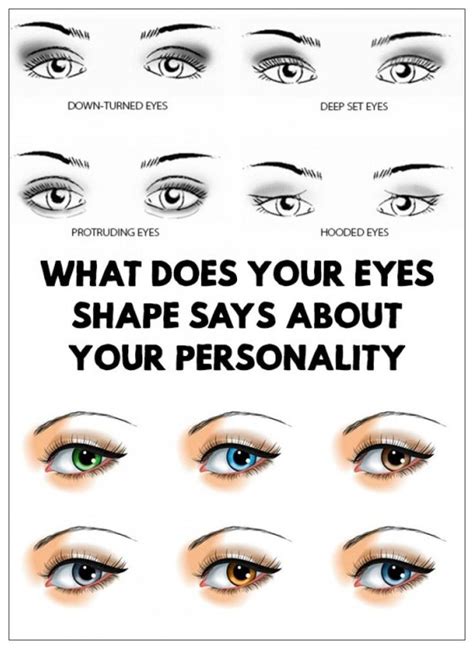 what your eyebrow shape can say about your personality eyebrow shape eye shapes types of