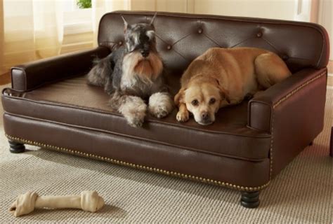 Most often, people get dogs and cats as they give us a lot of kindness and sincerity. 9 Best Leather Dog Beds- Reviewers - My Sleeping Dog