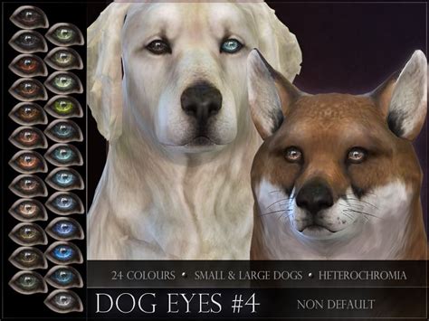 Remussirions Dog Eyes 04 Sims Pets Sims 4 Pets Sims 4 Pets Mod