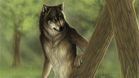 Here you can get the best fantasy wolf wallpapers for your desktop and mobile devices. fantasy Art, Wolf Wallpapers HD / Desktop and Mobile ...