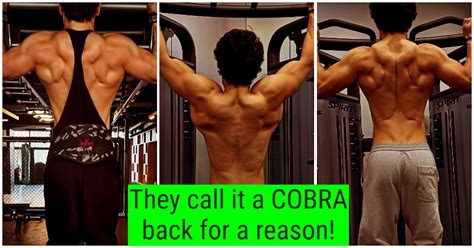 5 Exercises To Build A Cobra Back Like Tiger Shroff