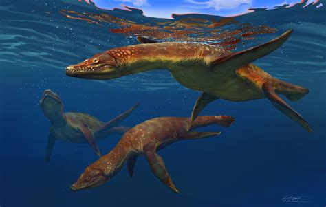 Marine Reptiles Anthony Hutchings On Artstation At