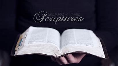 Bible Scriptures Open Christian Background Scripture Wallpapers