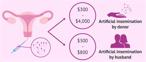 How Much Does Intrauterine Insemination Cost