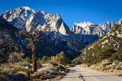 Exploring Sequoia And Kings Canyon National Park