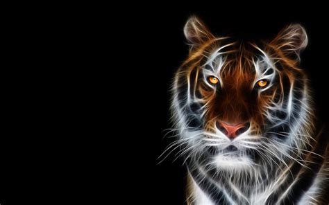 Fonds Decran Tigre Fauve Voir Museau 3d Graphiques Animaux Télécharger