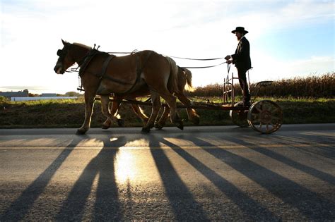 Les Amish Vivent 10 Ans De Plus Grâce à Une Mutation Génétique