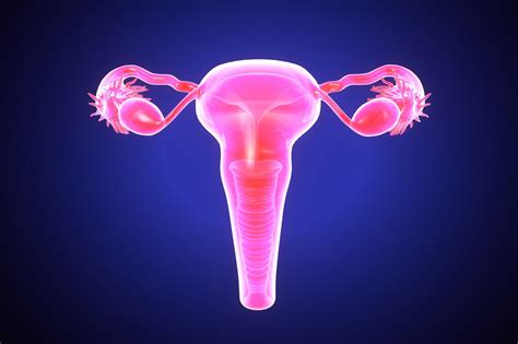 This pathway consists of the following: A woman with a transplanted uterus gave birth - a first ...