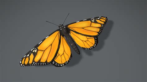 Monarch Butterfly Buy Royalty Free 3d Model By 3d Idi Paduladi