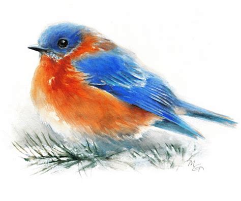 Bluebird Watercolor Painting Art Print Nature Or Bird Etsy