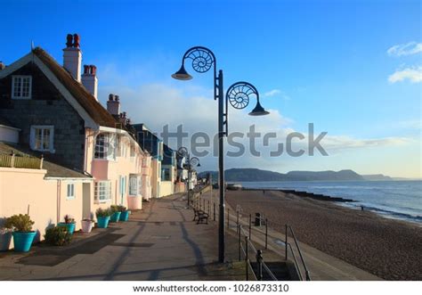 Ammonite Lamp Post Lyme Regis Dorset Stock Photo 1026873310 Shutterstock