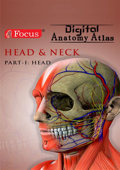 Head And Neck Digital Anatomy Atlas