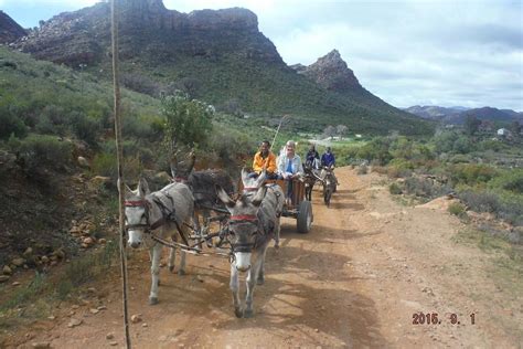 The Cederberg Heritage Route Donkey Cart Adventures Clanwilliam