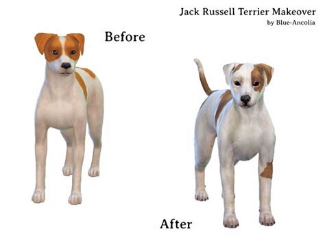 Jack Russell Terrier Makeover Sims 4 Pets Sims Pets Sims 4 Pets Mod