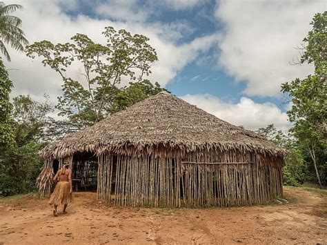 Descubre Las Comunidades Nativas Del Amazonas Peruano