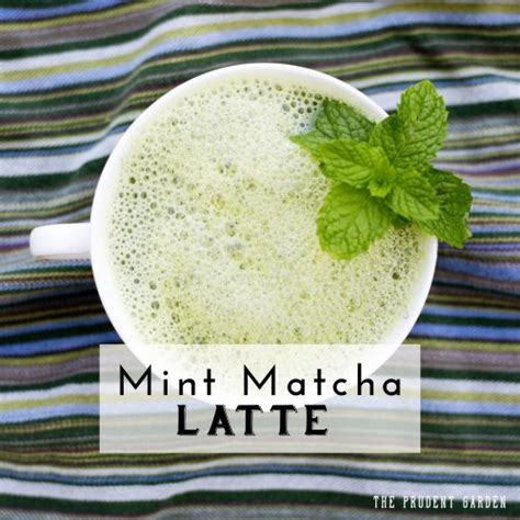 Mint Matcha Lattekiss Me Organics Review