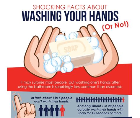 Shocking Facts About Washing Your Hands Or Not Infographic Mr