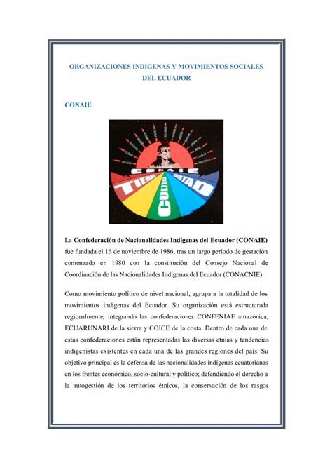 PDF Organizaciones Indigenas Y Movimientos Sociales Del Ecuador