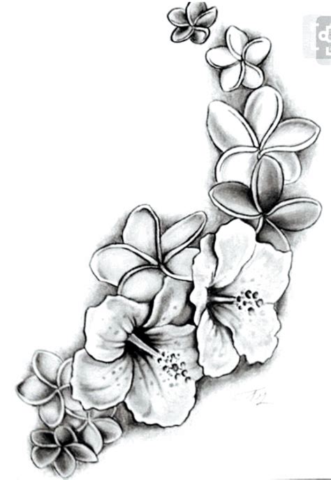 Tattoo Drawings Tattoo Drawings In 2020 Hawaiian Flower Tattoos