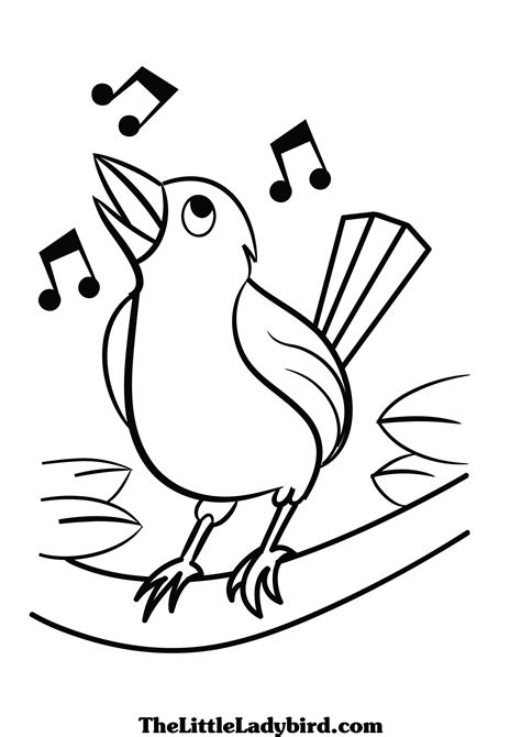 Bird Coloring Pages Free Download On Clipartmag