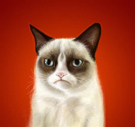 Grumpy Cat Digital Art By Olga Shvartsur
