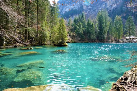Blausee Lake In Switzerland The Reason Why The Water Is So Blue When It Is The Best Time To