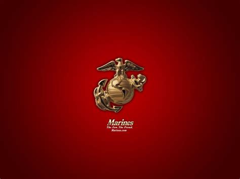 Marine Corps Screensavers Usmc Marine Recon Wallpapers Top Free