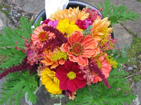 Other birthday symbols include the birth flowers for september which are the aster and morning. Notes and News from Shady Grove Gardens: September Flower ...