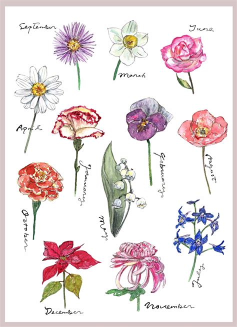 Birth Month Flowers Clip Art Free Image To U