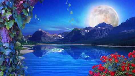 Download Nature Background Loop Hd Fps By Oliviaf29 Pictures Of