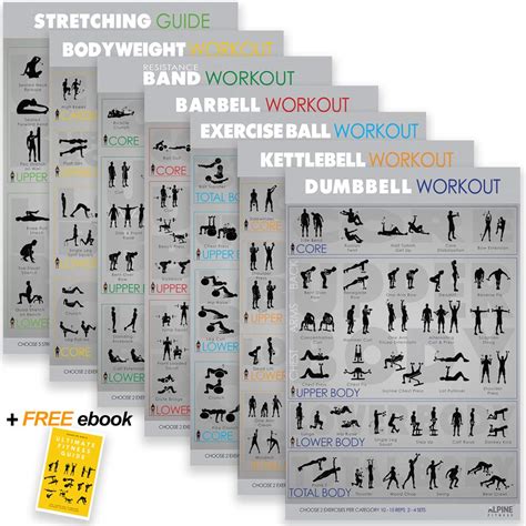Buy 7 Exercise And Fitness S 30x20 Large Laminated Gym Planner Charts