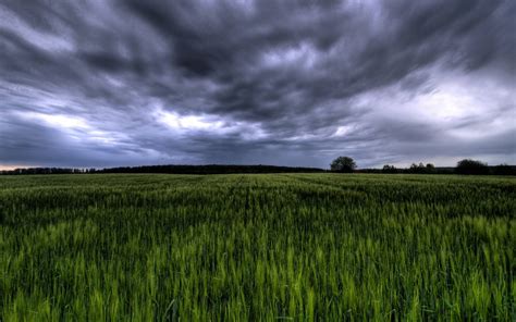Green Field Under Stormy Sky Germany Preview