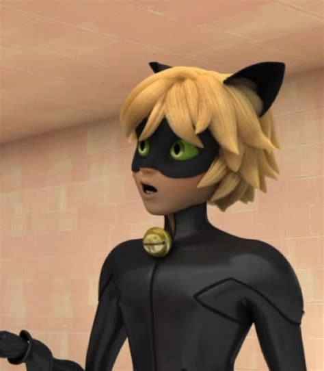 We hope you enjoy our growing collection of hd images to use as a. Cat Noir | Miraculous Ladybug S3 | Timetagger | Miraculous ...