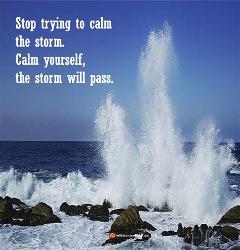 Communities that are organized, active and motivated are most likely to design and carry out effective traffic calming programs. You can't calm the storm. So stop trying. What you can do is calm yourself. The storm will pass ...