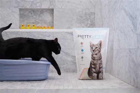 5 Reasons Prettylitter Is The Best Cat Litter Truevet