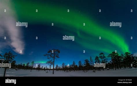 Green Northern Lights In The Sky Above The Pyhä Luosto National Park