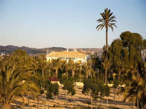 Discover the finca rosa blanca farm with a naturalist guide and watch the transformation from bean to harvest to roaster to your cup! Finca Santa Barbara - Elche/elx (Alicante)